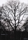 th_41470_01_122_764lo.jpg